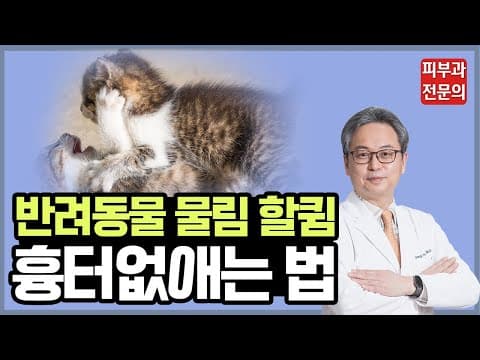 개물림 사고, 고양이 할큄으로 인한 흉터 없애는 법(반려동물에 의한 상처 흉터치료, 피부과전문의)