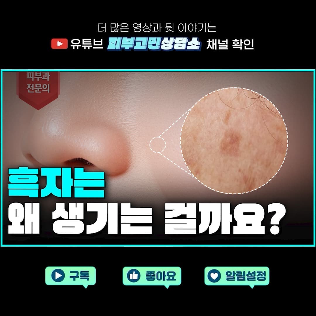오늘은 (2024.12.24)