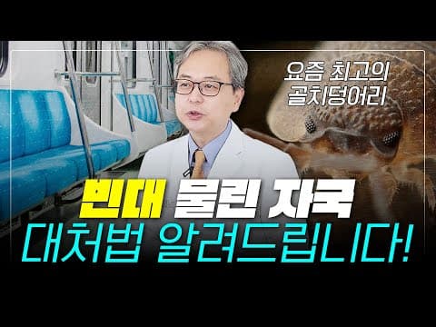 빈대 물린 자국, 확실한 대처법! 피부과 전문의가 알려드립니다